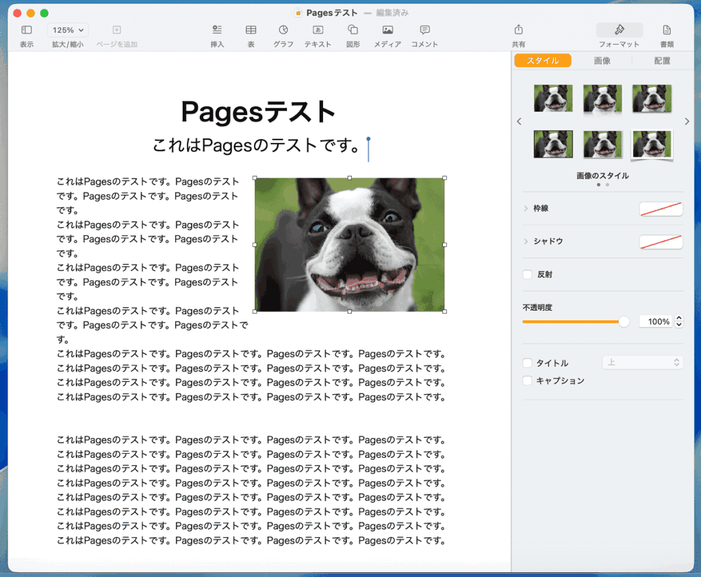 pagesに画像を貼り付け